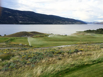 Sagebrush PG irrigation