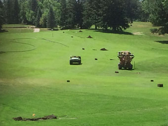 Golf course fairway